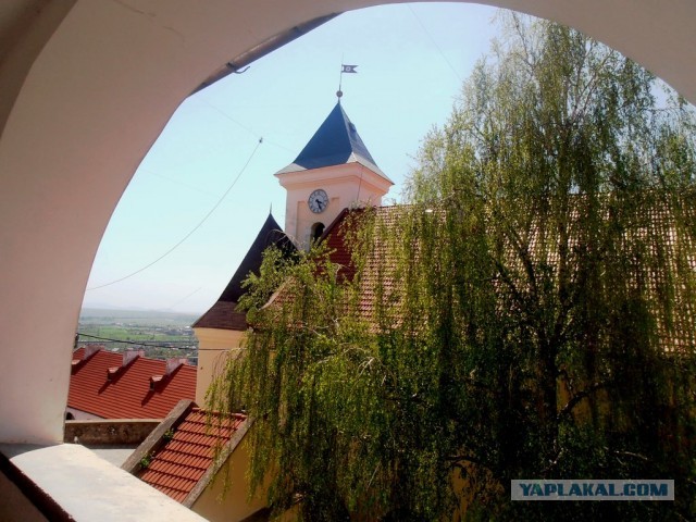 Мыльница