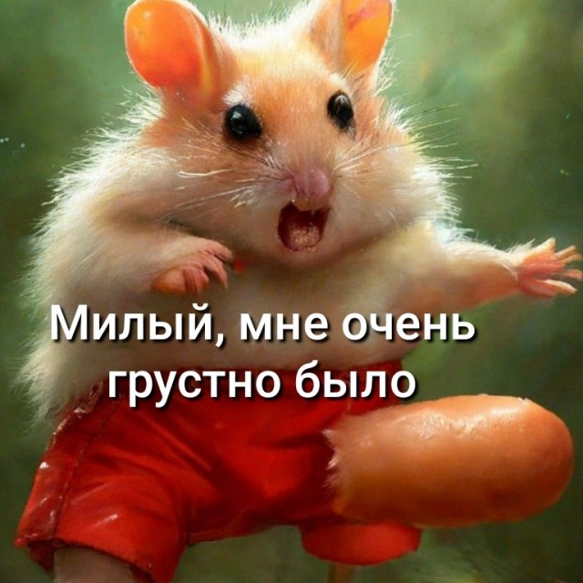 Так себе картинки 16.07.23