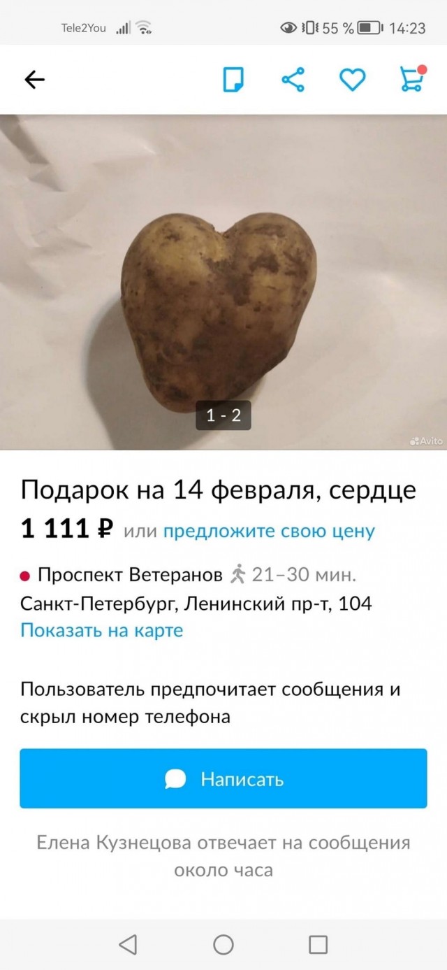 Нуштош 17.07.2023