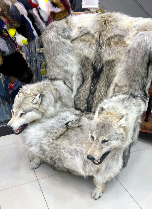 Так себе картинки 05.08.23