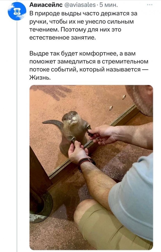 Так себе картинки 02.09.23