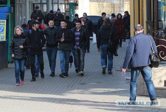 Депутат Водолацкий: парламентарии обсудят меры по борьбе с наплывом мигрантов