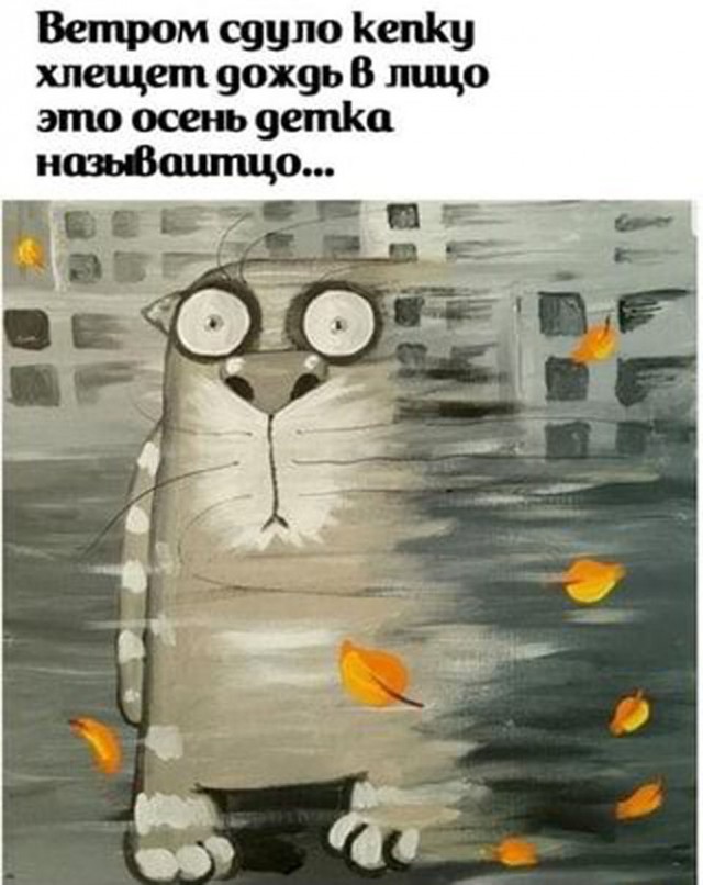Прикольные и просто красивые картинки 27.10.2023