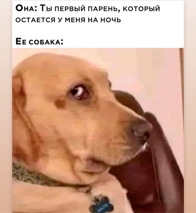 Отряд быстрого деградирования