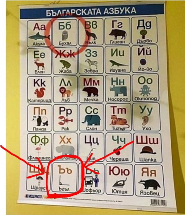 У меня муж дома