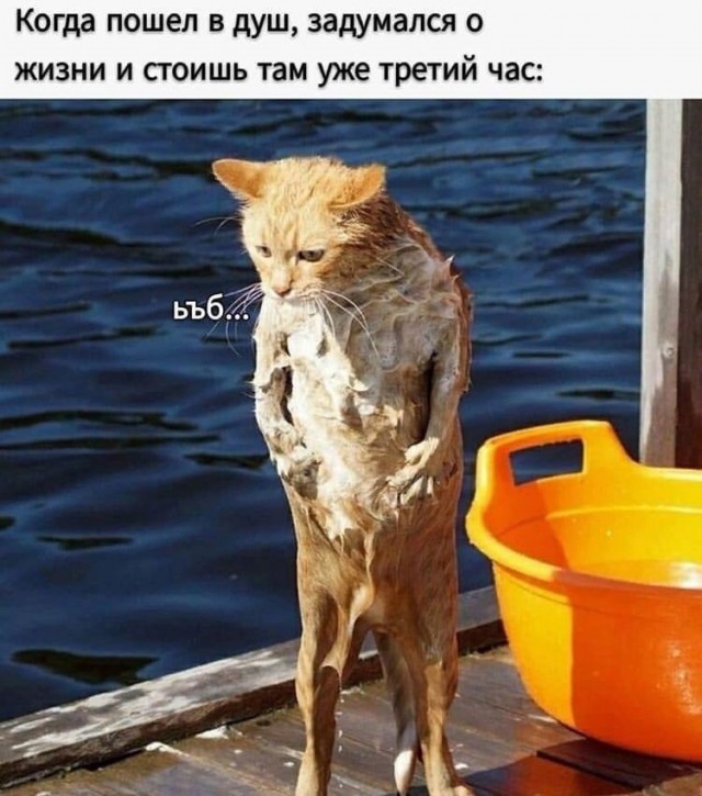 Так себе картинки 10.03.25