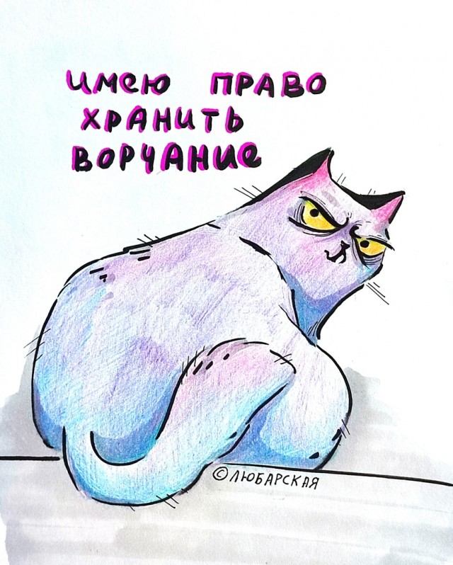 Так себе картинки 20.04.25