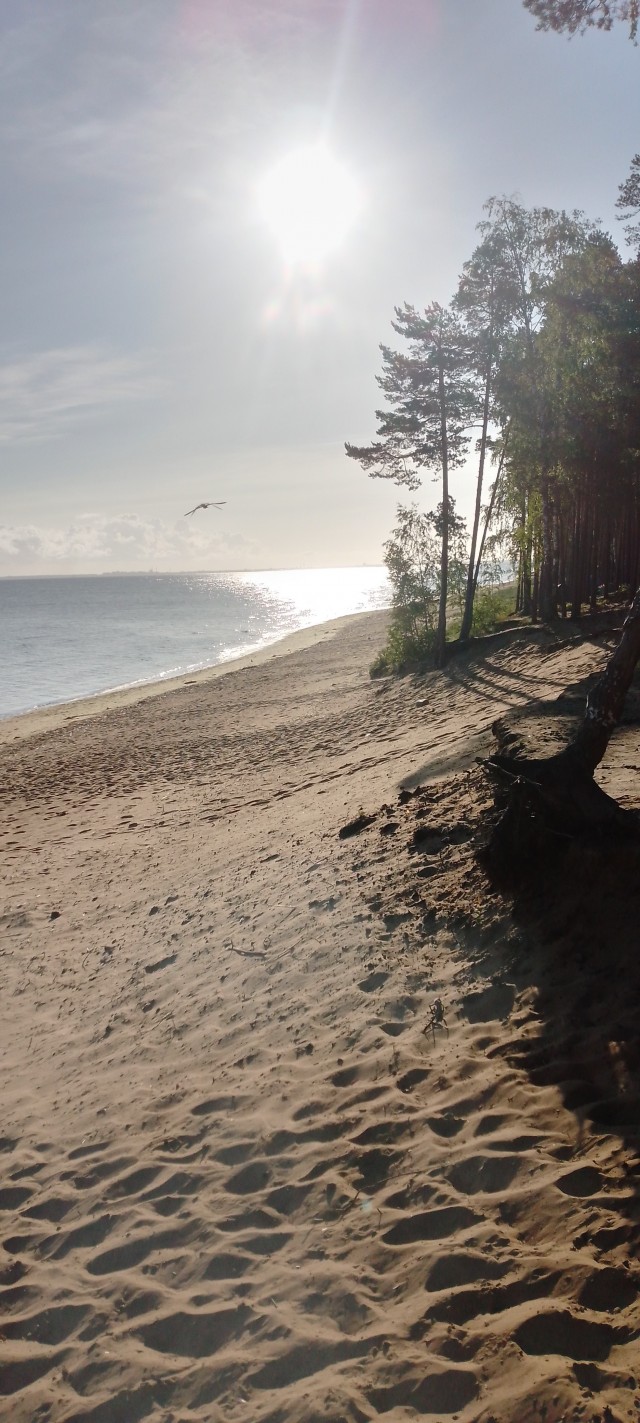 Разбавим политоту и жесть природой