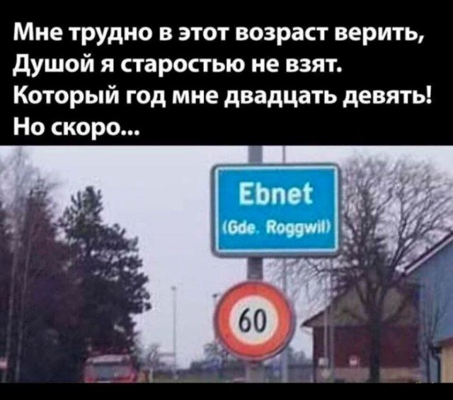 Весёлый полтишок 14.05.25.