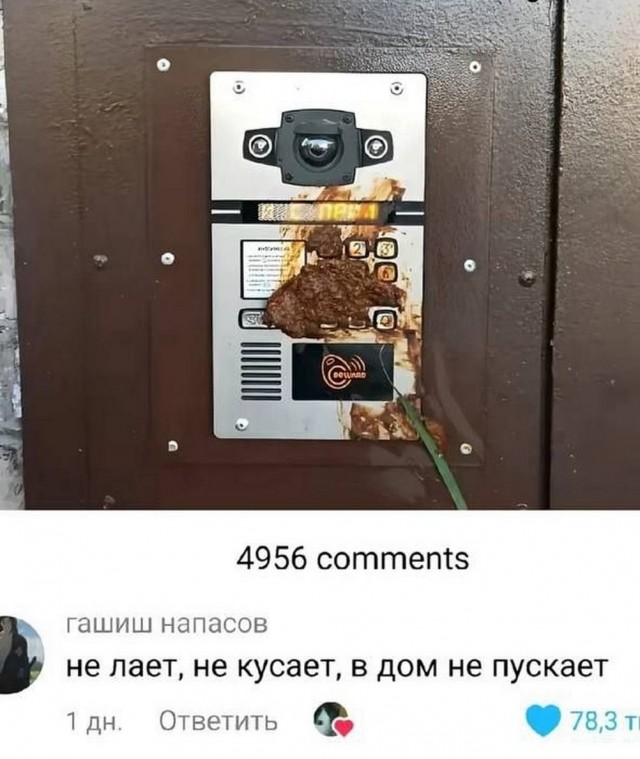 Давно не было....