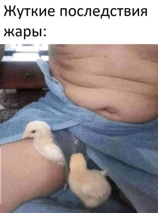 Веселые картинки в понедельник (04.08)