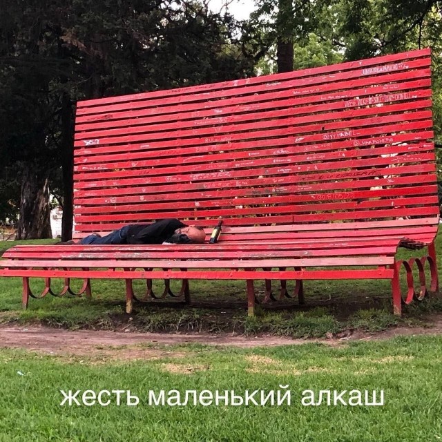 Картинки для деградации 22 ( разной степени свежести)