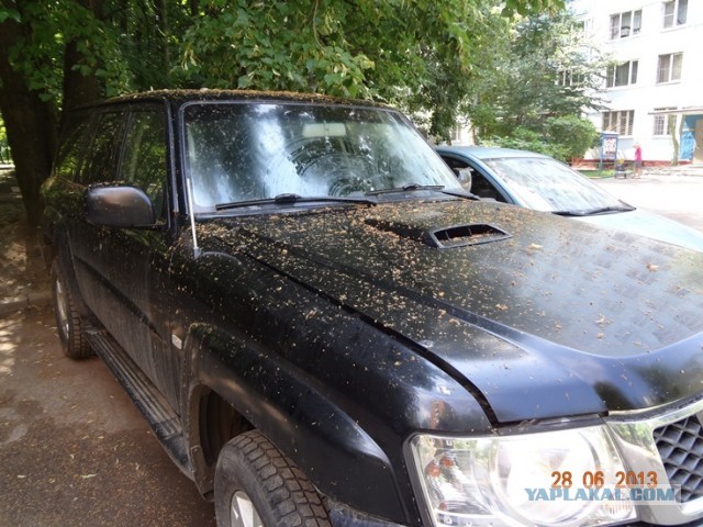 Солидарность на дороге