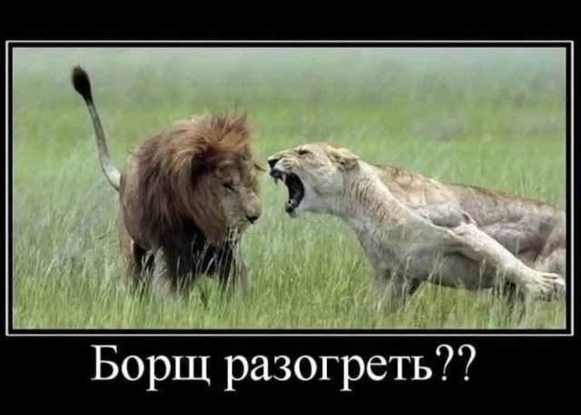 Картинки для деградации 36 (разной степени свежести)