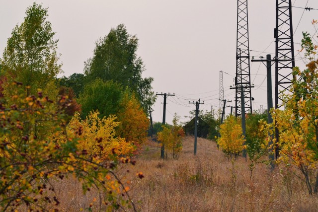 Осень в объективе.