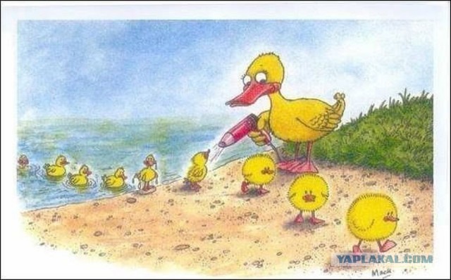 Позитивный утёнок