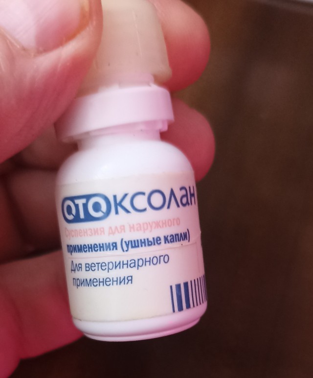 Нужна помощь