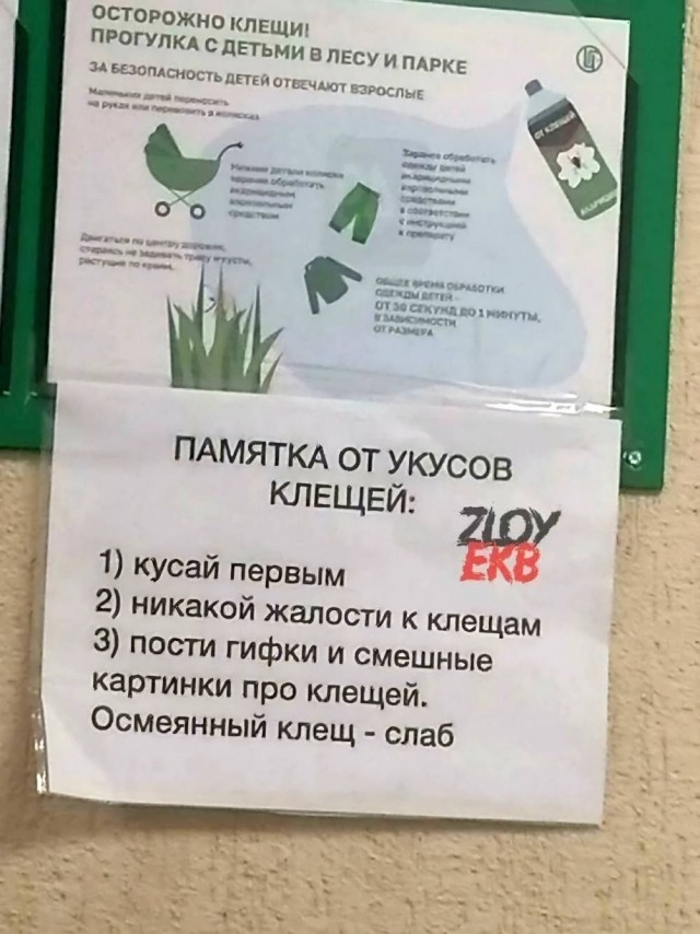 Картинки для деградации 175 (разной степени свежести)