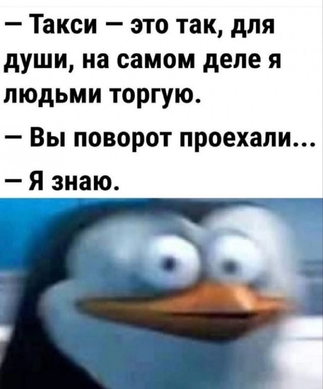 Картинки для деградации 219 (разной степени свежести)