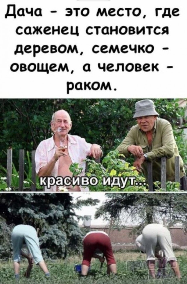 Прикольные и просто красивые картинки 21.08.2026