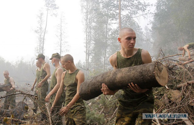 Наши военные.