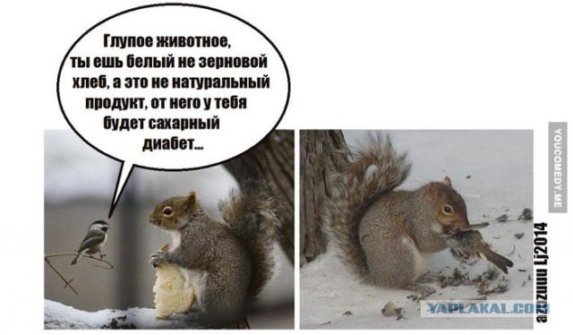 Забавные картинки