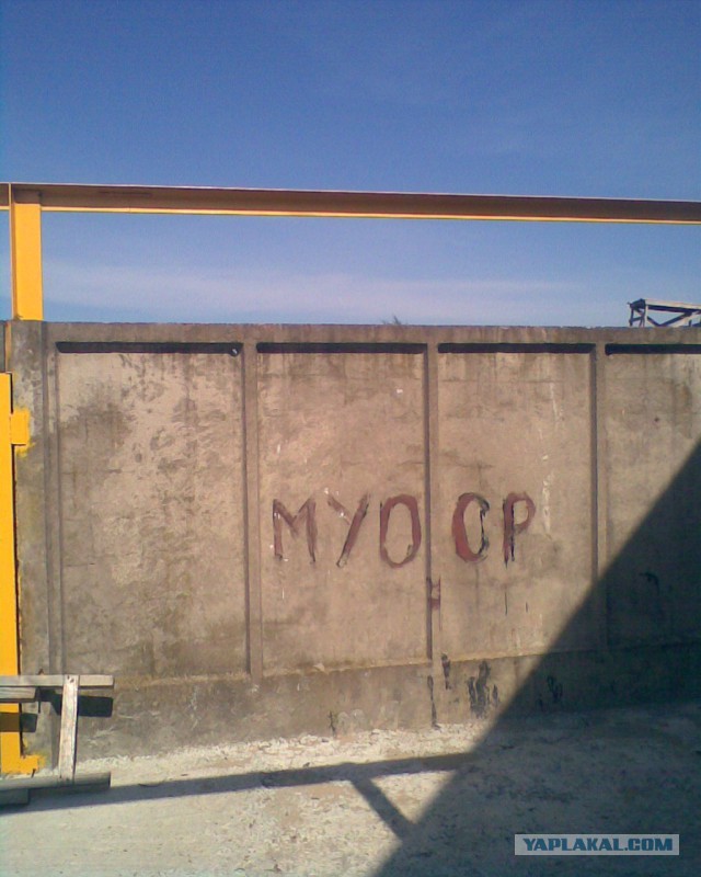 Казусы жизни