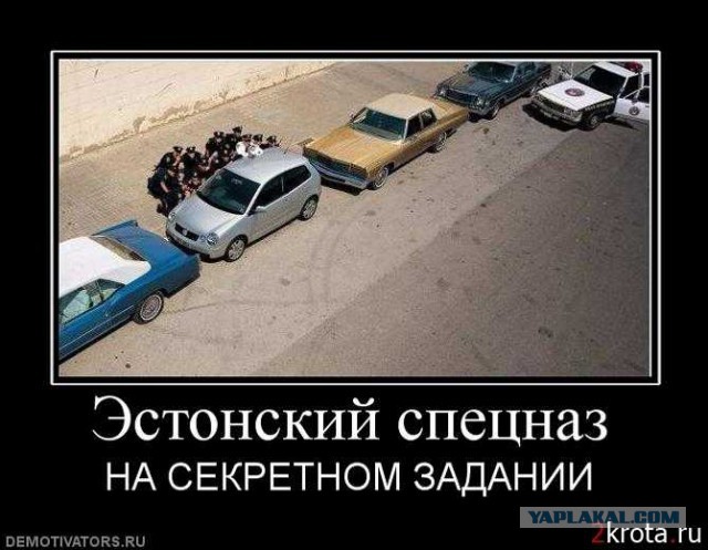 Эстония жжет