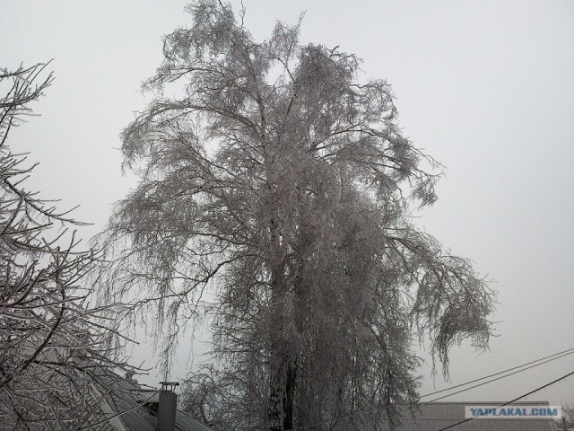 Ледяная зима