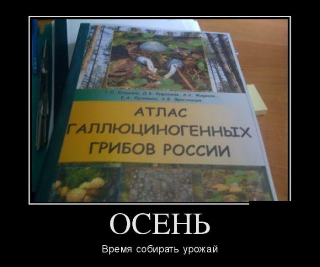 Вопрос к девушкам!