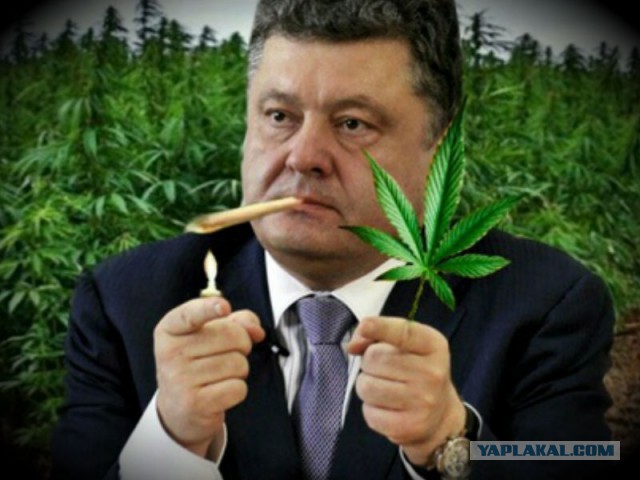 А что если всё происходящее нужно для...