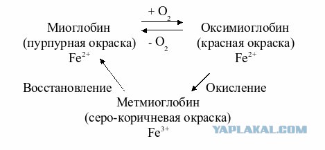 Вяленная свинина в домашних условиях