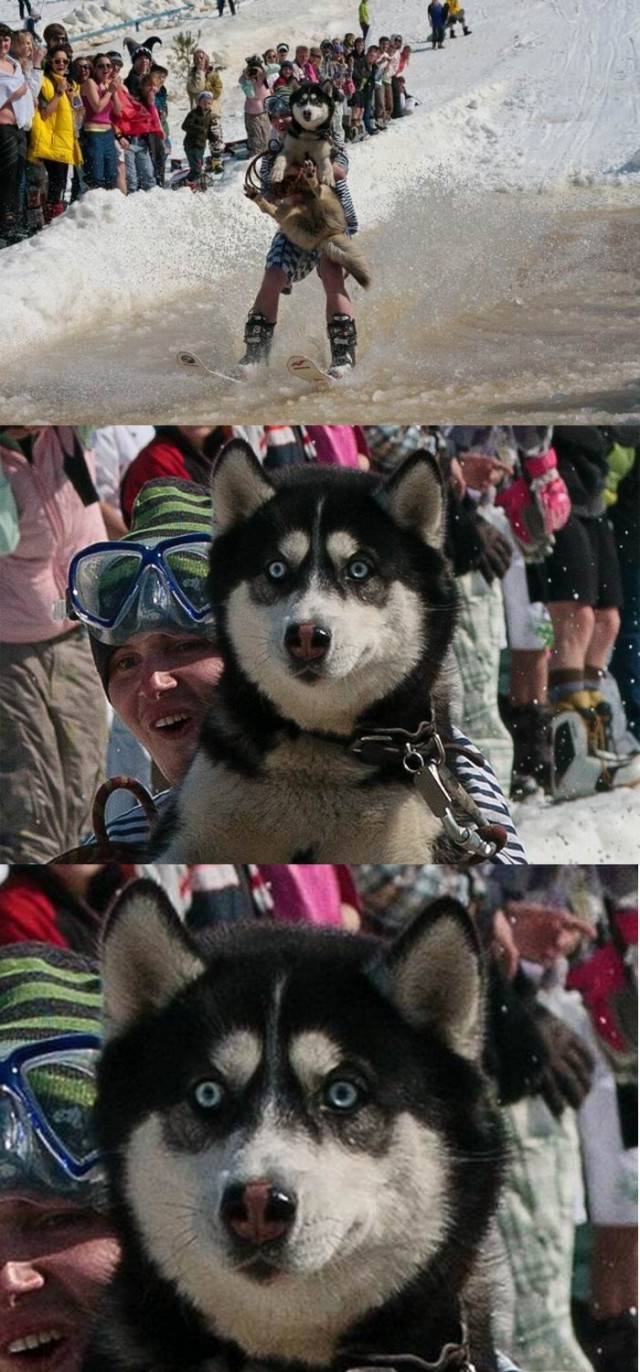 Взгляд