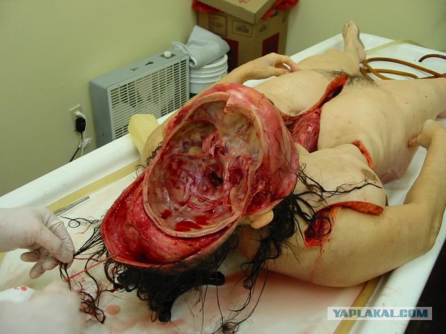 Леонид Ярмольник набросился на журналистов на дне рождения Пугачёвой