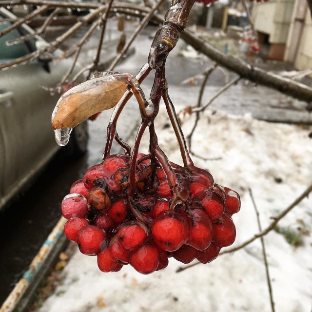 Обледеневшая Казань