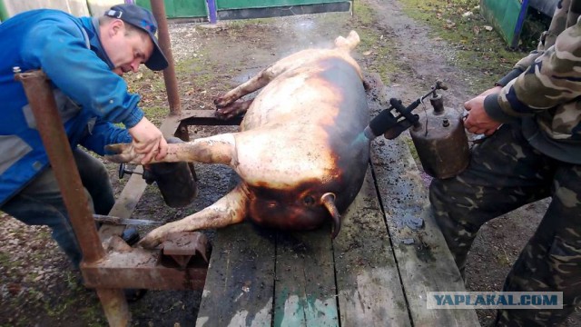 Особенности шашлыка по-сельски