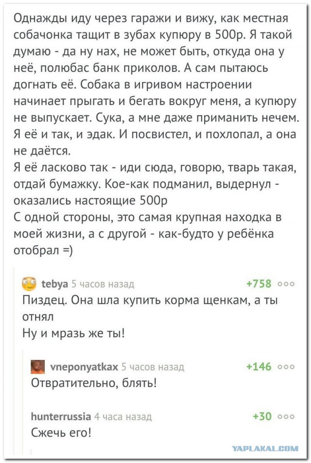Смешные комментарии из социальных сетей 13.01.2017