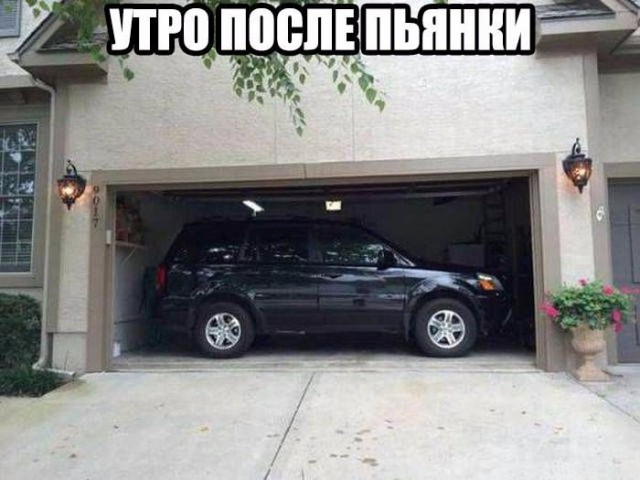 Подборка безудержного веселья