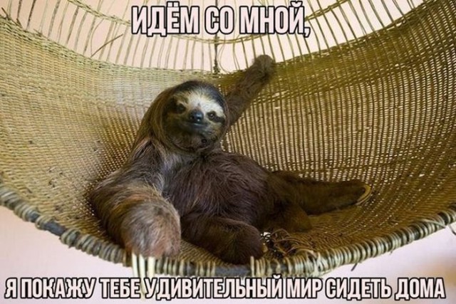 Подборка интересных и веселых картинок