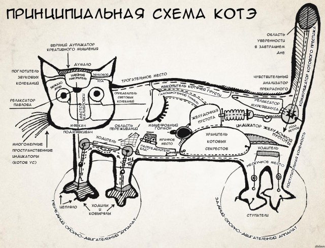Отупляющие приколы