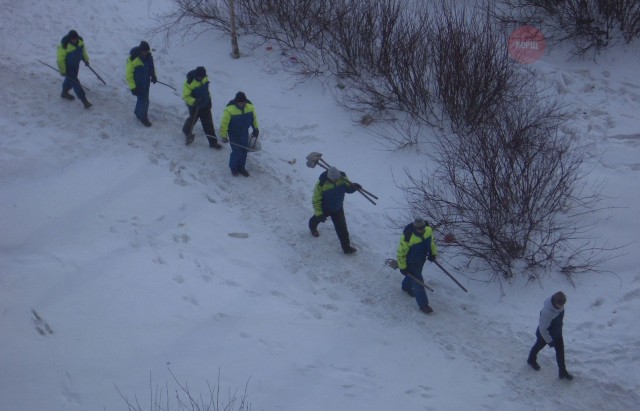 Подборка безудержного веселья