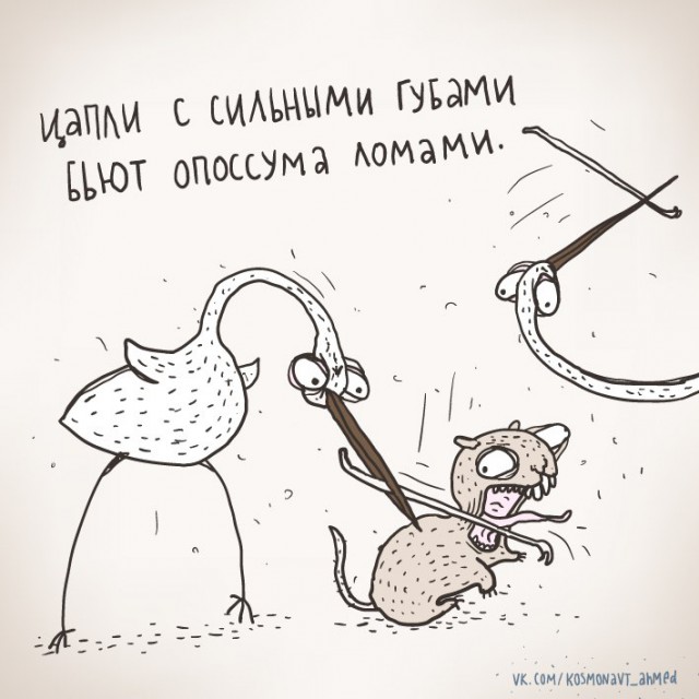 Космонавт Ахмед о ЗОЖ, веганах, яжматерях и прочей нечисти