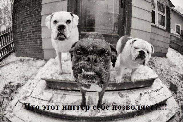 Показали, кто главный на пляже.