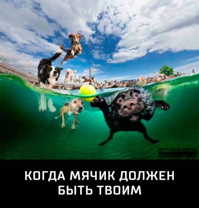 Смешные комментарии из социальных сетей 03.11.2017