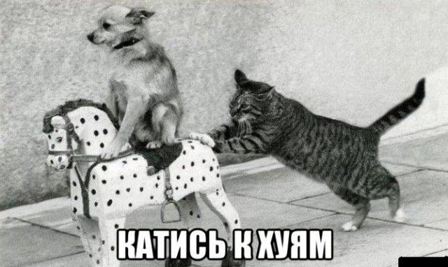 Фашисты - это воины, которые заслуживают уважения и человеческого отношения (с)