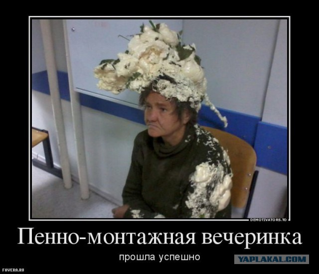 Спасение бездомной кошки из электрощита в Благовещенске