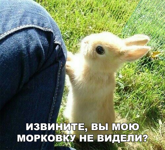 Нестандартный юмор