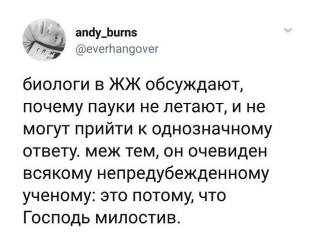 Немного картинок для настроения