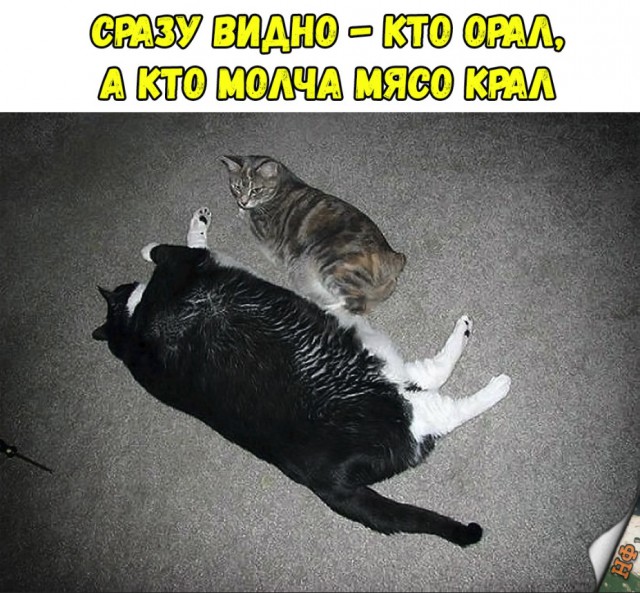 Нестандартный юмор