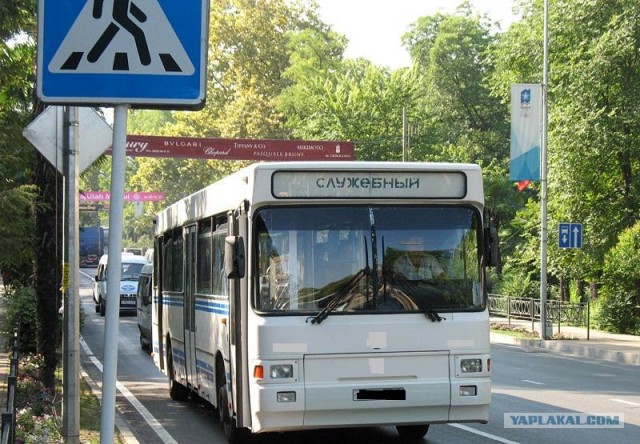 Игра на ЯПе: Угадай АВТО-2